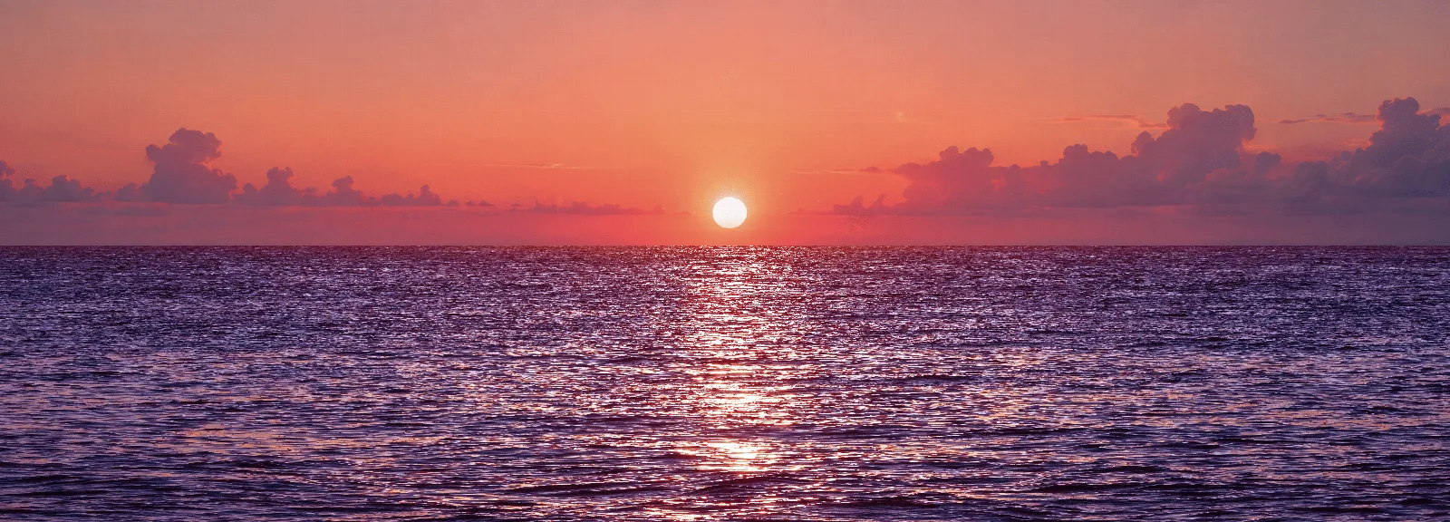 Horizon, development 03: the sun on the horizon under pink clouds.